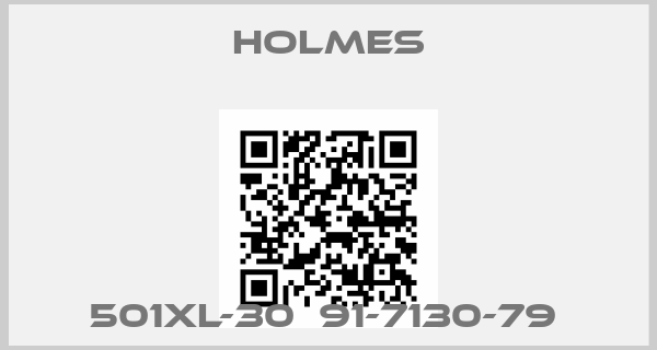 Holmes-501XL-30  91-7130-79 
