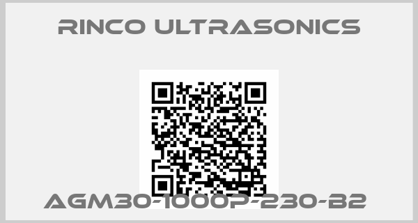 Rinco Ultrasonics-AGM30-1000P-230-B2 