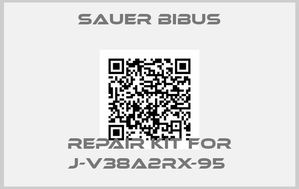 SAUER BIBUS-Repair kit for J-V38A2RX-95 