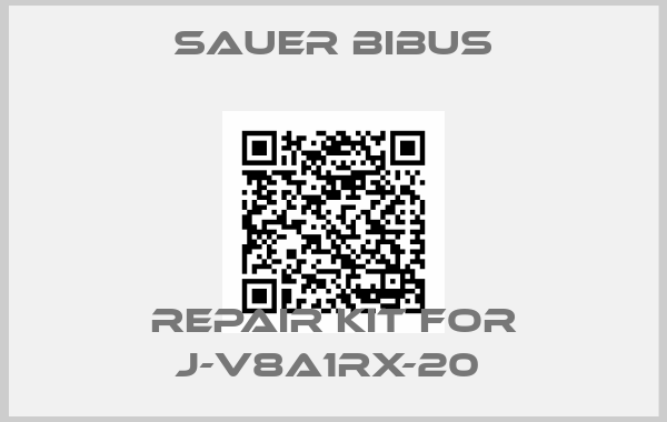 SAUER BIBUS-Repair kit for J-V8A1RX-20 