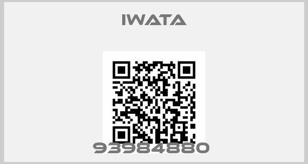 Iwata-93984880 