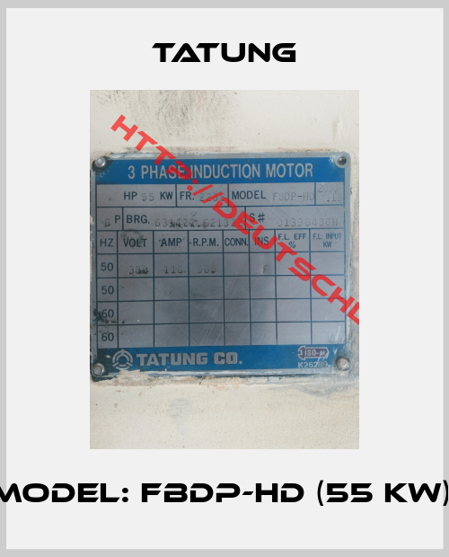 TATUNG-Model: FBDP-HD (55 KW) 