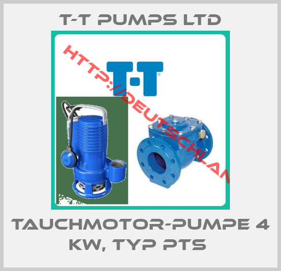 T-T Pumps LTD-Tauchmotor-Pumpe 4 kW, Typ PTS 