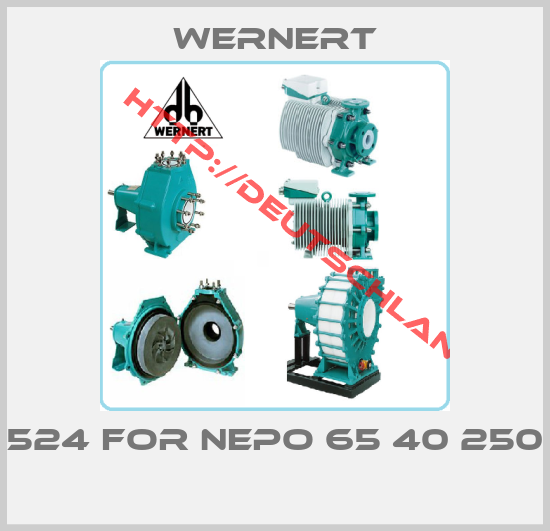 Wernert-524 FOR NEPO 65 40 250 