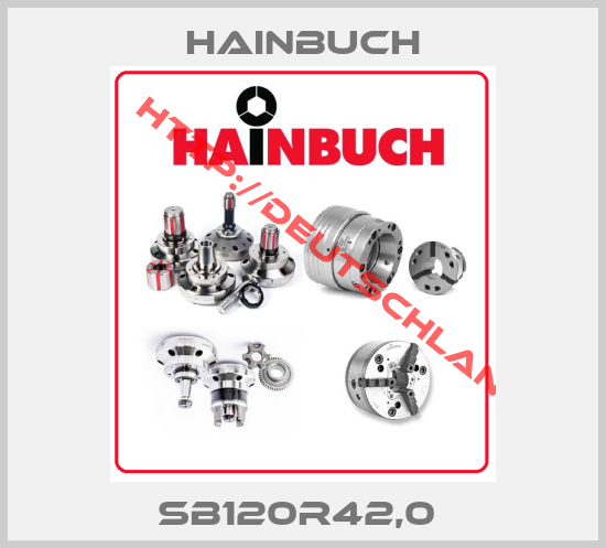 Hainbuch-sb120r42,0 