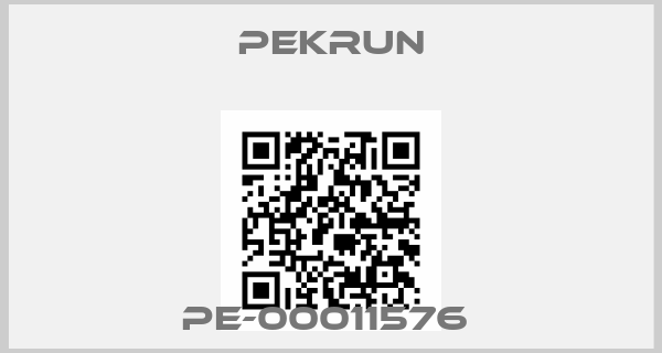 Pekrun-PE-00011576 