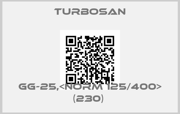 Turbosan-GG-25,<NORM 125/400> (230) 