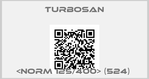 Turbosan-<NORM 125/400> (524) 