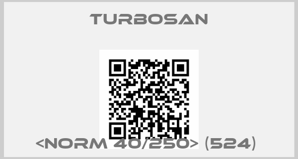 Turbosan-<NORM 40/250> (524) 