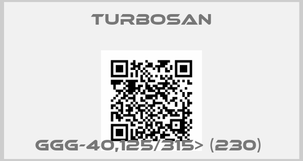 Turbosan-GGG-40,125/315> (230) 