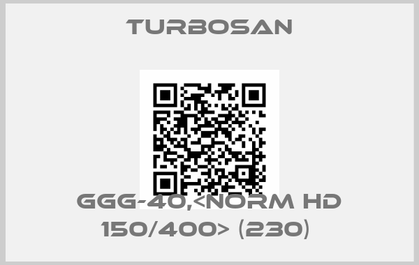 Turbosan-GGG-40,<NORM HD 150/400> (230) 