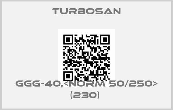 Turbosan-GGG-40,<NORM 50/250> (230) 