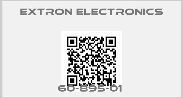 Extron Electronics-60-895-01 