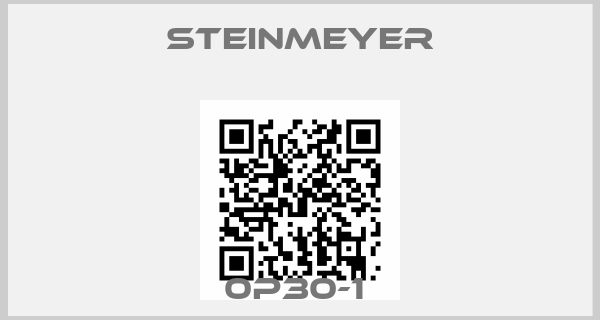 Steinmeyer-0P30-1 