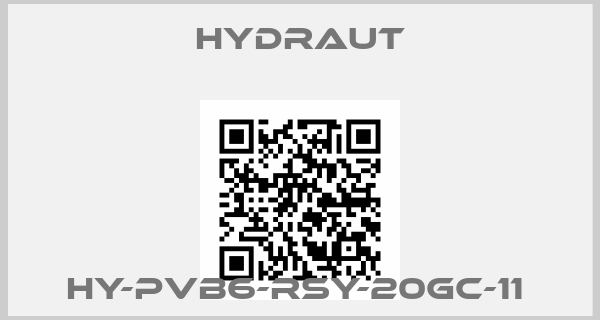 HYDRAUT-HY-PVB6-RSY-20GC-11 