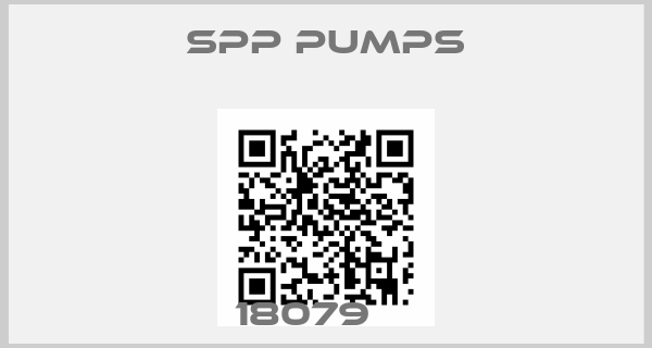 SPP Pumps-18079    