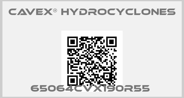 CAVEX® Hydrocyclones-65064CVX190R55 