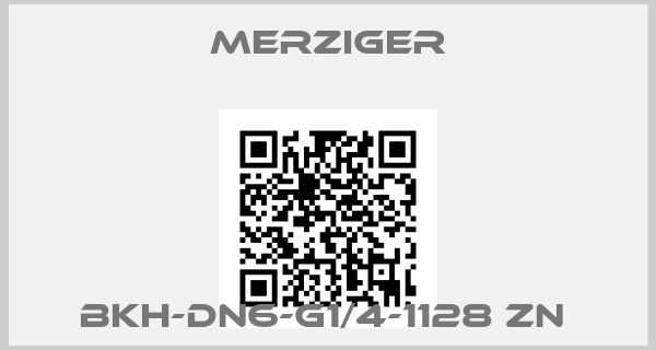 Merziger-BKH-DN6-G1/4-1128 Zn 