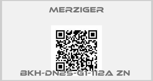 Merziger-BKH-DN25-G1-112A Zn 