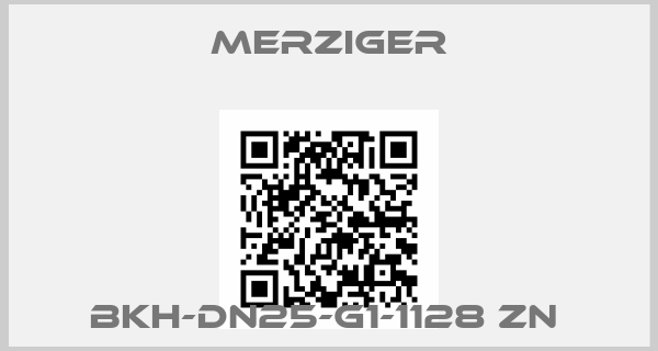 Merziger-BKH-DN25-G1-1128 Zn 