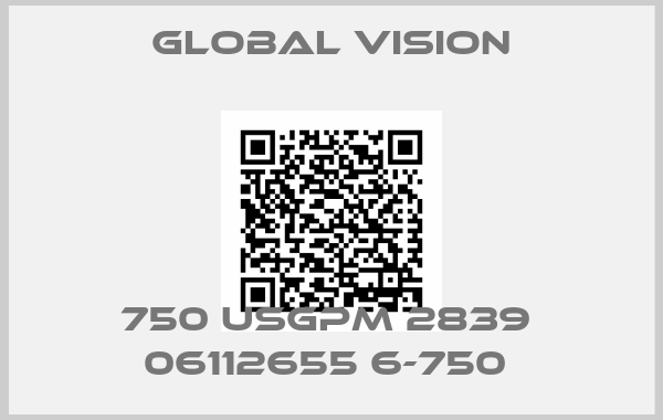 Global Vision-750 USGPM 2839  06112655 6-750 