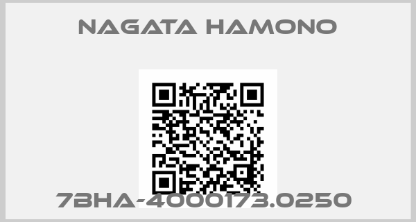 NAGATA HAMONO-7BHA-4000173.0250 