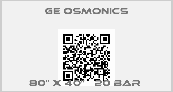 Ge Osmonics-80” X 40”   20 BAR 