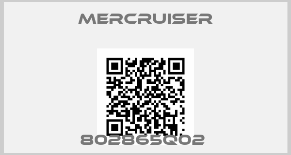 Mercruiser-802865Q02 