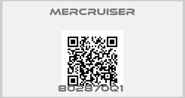 Mercruiser-802870Q1 