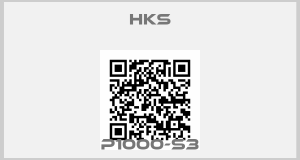 Hks-P1000-S3