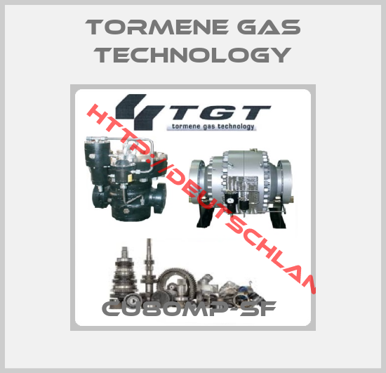 TORMENE GAS TECHNOLOGY-CU80MP-SF 