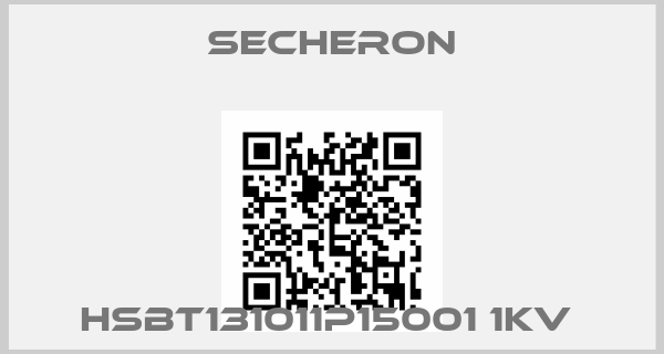Secheron-HSBT131011P15001 1kv 