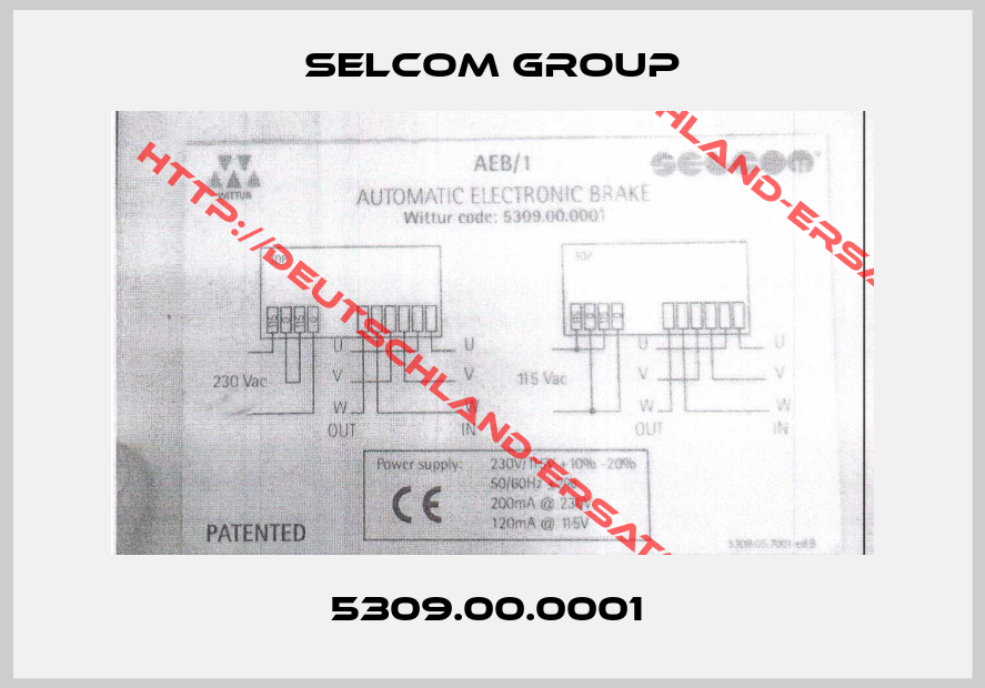 Selcom Group-5309.00.0001 