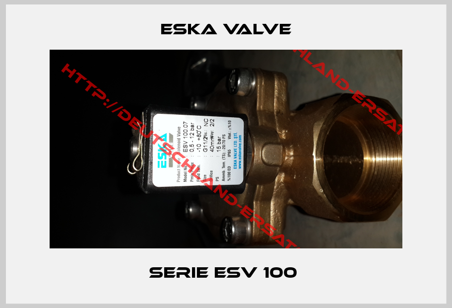 Eska Valve-Serie ESV 100 