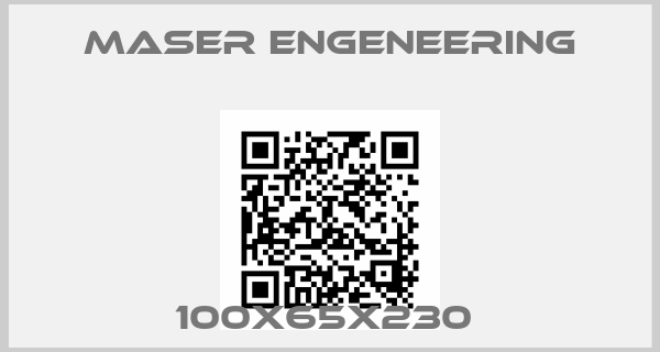 Maser Engeneering-100X65X230 