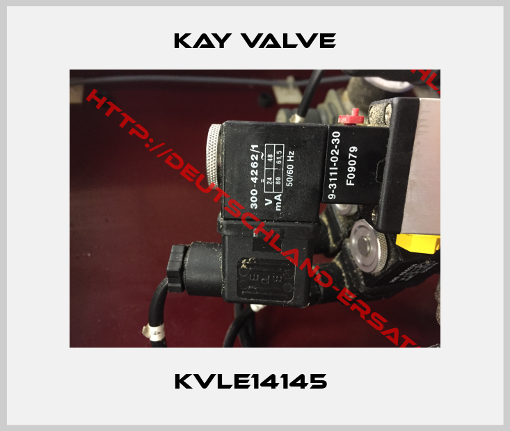 Kay Valve-KVLE14145 