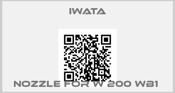 Iwata-Nozzle for W 200 WB1 