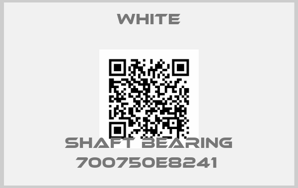 White-Shaft Bearing 700750E8241 