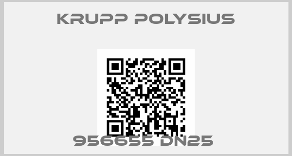KRUPP Polysius-956655 DN25 