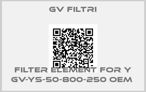 GV Filtri-Filter element for Y GV-YS-50-800-250 oem 