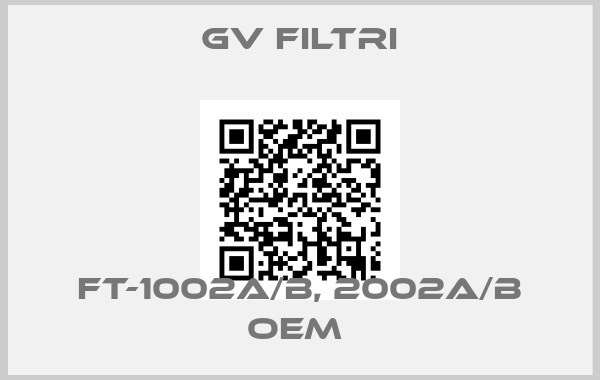 GV Filtri-FT-1002A/B, 2002A/B oem 