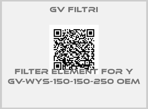 GV Filtri-Filter element for Y GV-WYS-150-150-250 oem 