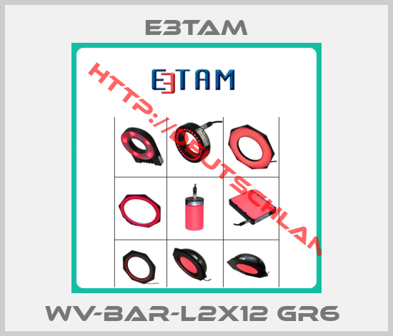 E3TAM-WV-BAR-L2x12 Gr6 