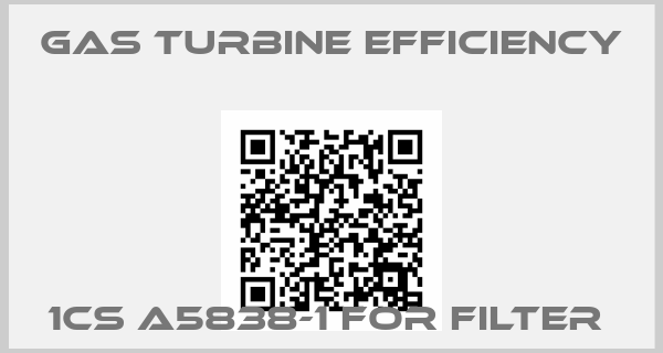 GAS TURBINE EFFICIENCY-1CS A5838-1 for filter 