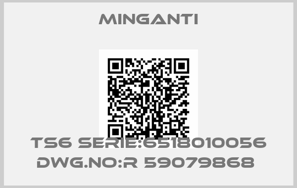 Minganti-TS6 SERIE:6518010056 DWG.NO:R 59079868 