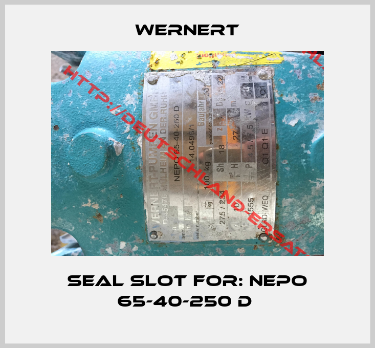 Wernert-SEAL SLOT FOR: NEPO 65-40-250 D 