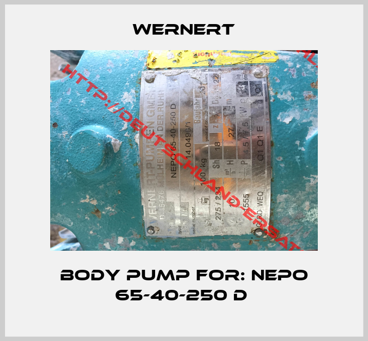 Wernert-BODY PUMP FOR: NEPO 65-40-250 D 