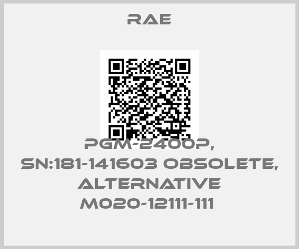 Rae-PGM-2400P, SN:181-141603 obsolete, alternative M020-12111-111 