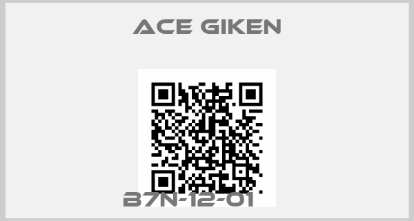 ACE GIKEN-B7N-12-01     
