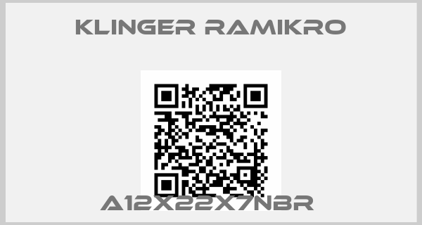 Klinger Ramikro-A12X22X7NBR 